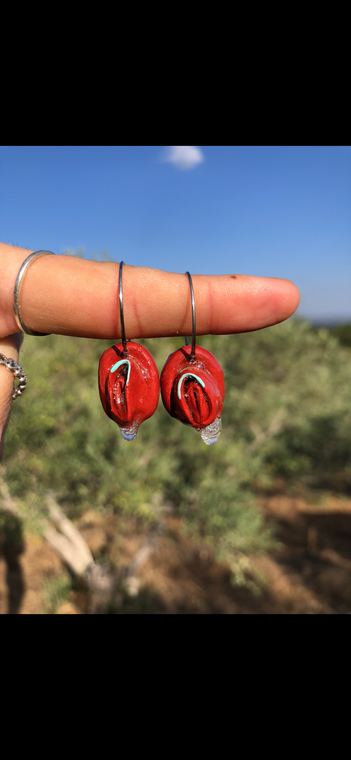 Pendientes de Arcilla ILE